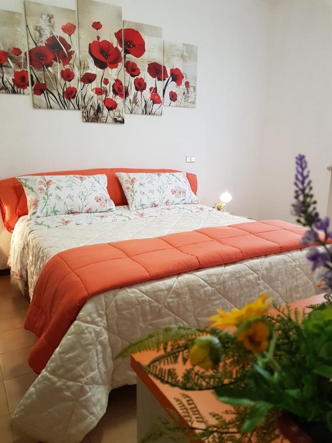 May Flowers Pisa Luaran gambar